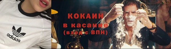соль ск Богородицк