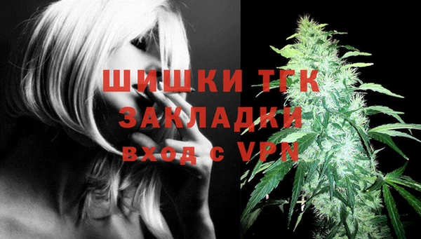 эйфоретик Богданович