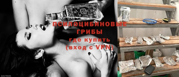 таблы Богородск