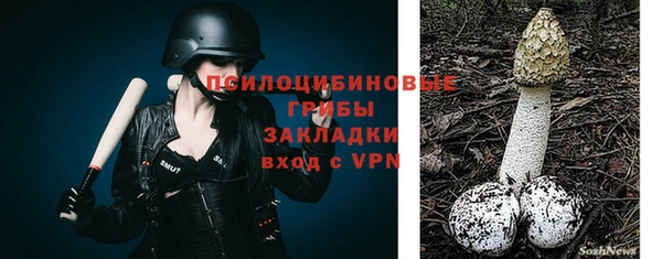 таблы Богородск