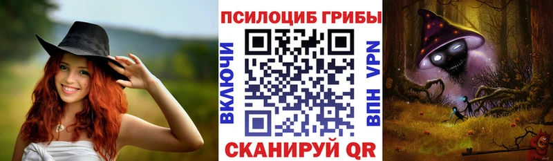 Галлюциногенные грибы ЛСД цена наркотик площадка какой сайт Ессентуки